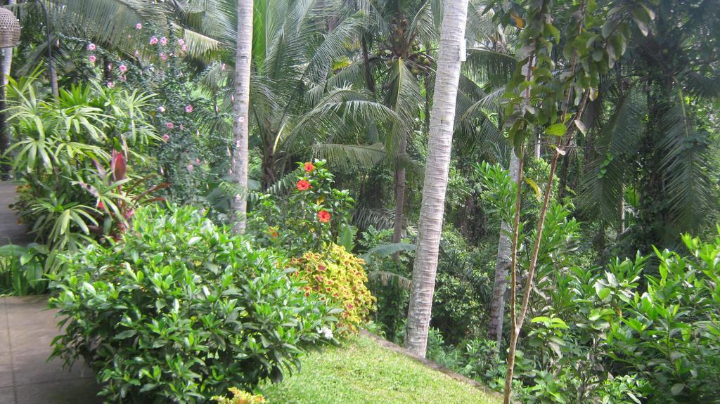 Mahanadewi Villa Ubud  Phòng bức ảnh