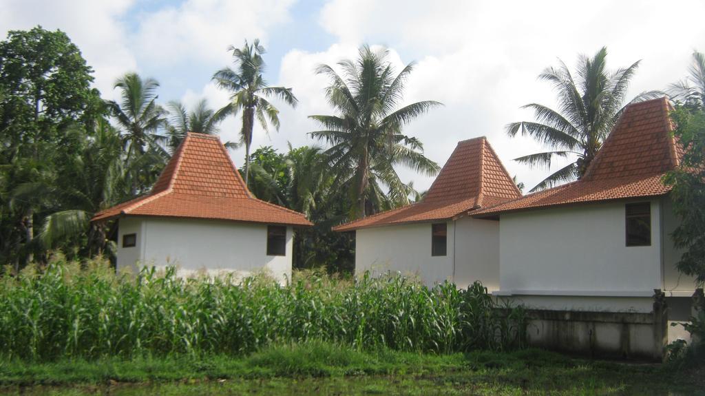 Mahanadewi Villa Ubud  Ngoại thất bức ảnh